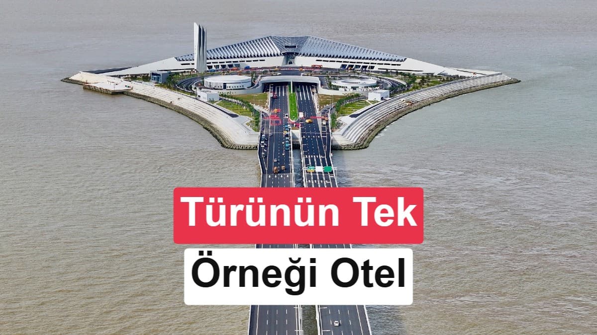 Tamamen robotlarla işletilen dünyanın ilk oteli açılıyor